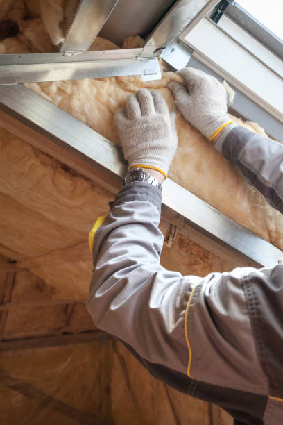 Best Insulation Repair Services  in Benjamin, UT