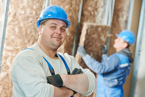 Best Insulation Inspection Services  in Benjamin, UT