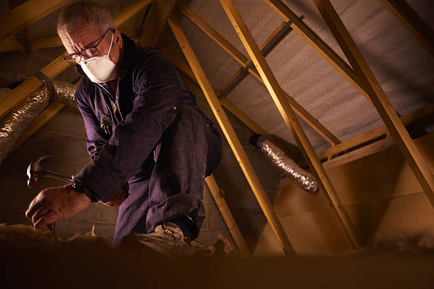 Best Wall Insulation Contractor  in Benjamin, UT